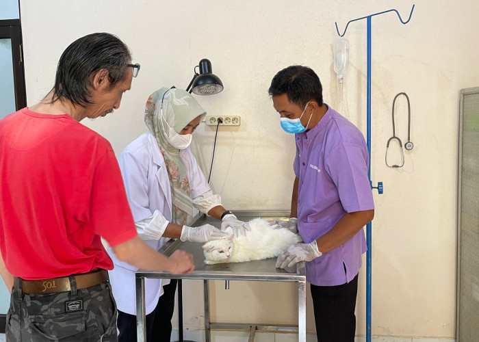 RS Hewan Kota Metro Sediakan IGD bagi Pasien Emergency dan Juga Ada Pet Hotel