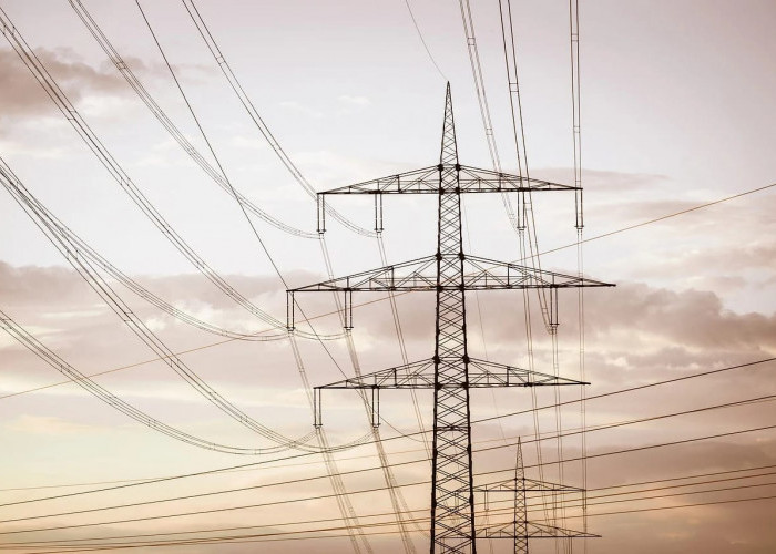 Pemadaman Listrik PLN Berdampak Terhadap Pelaku Usaha di Pesisir Barat Lampung