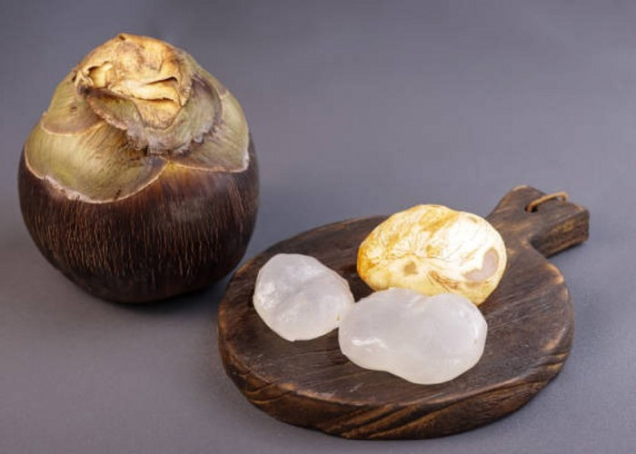 11 Manfaat Buah Lontar yang Tidak Disangka, No 3 Berguna Banget