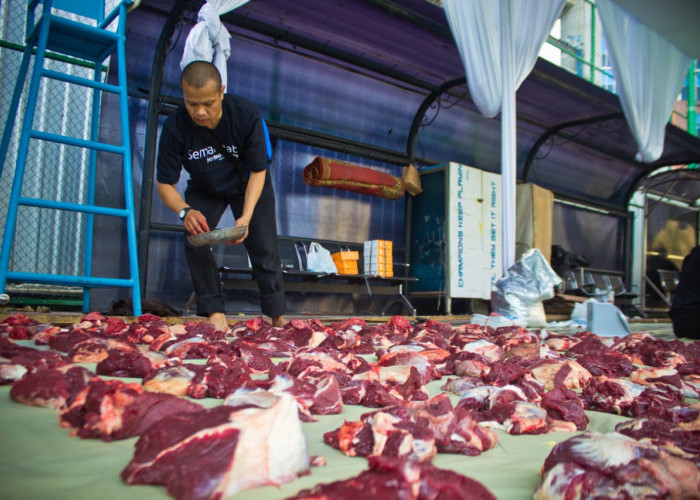 Peternak Kambing Ini Banjir Pembeli Dari Berbagai Daerah, Sukses Kembangkan Usaha Berkat Pemberdayaan BRI