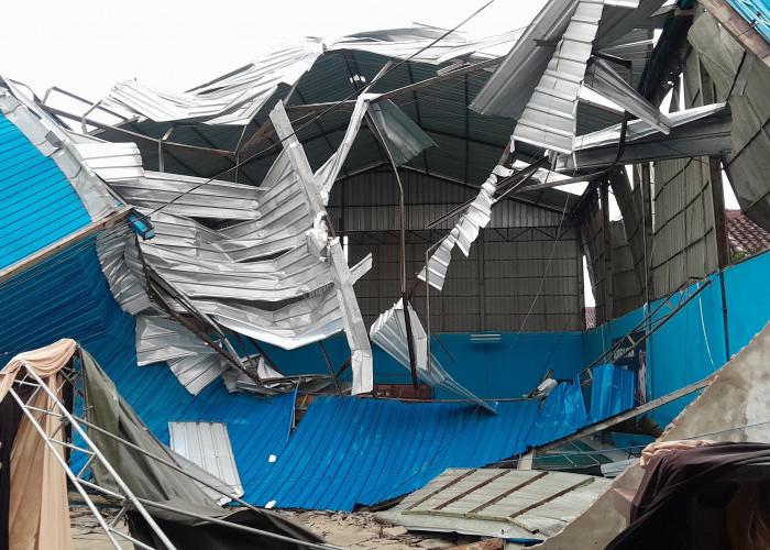 Hujan Deras Disertai Angin Kencang Rusak Rumah dan Tumbangkan Pohon di Bandarlampung
