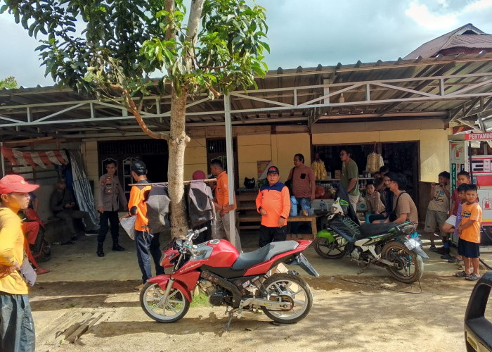 Pendaki Ditemukan Meninggal di Gunung Pesagi, Proses Evakuasi Masih Berlangsung