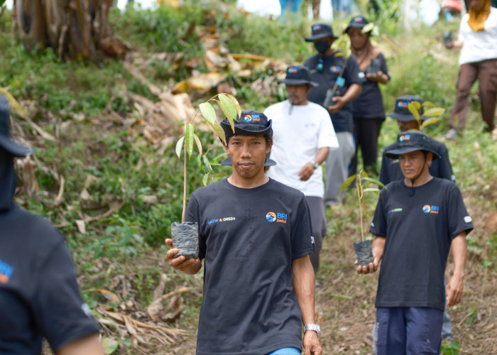 BRI Menanam Grow dan Green Salurkan Bantuan Tanaman Produktif