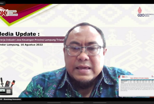 Sektor Jasa Keuangan Lampung Tunjukan Kinerja Positif