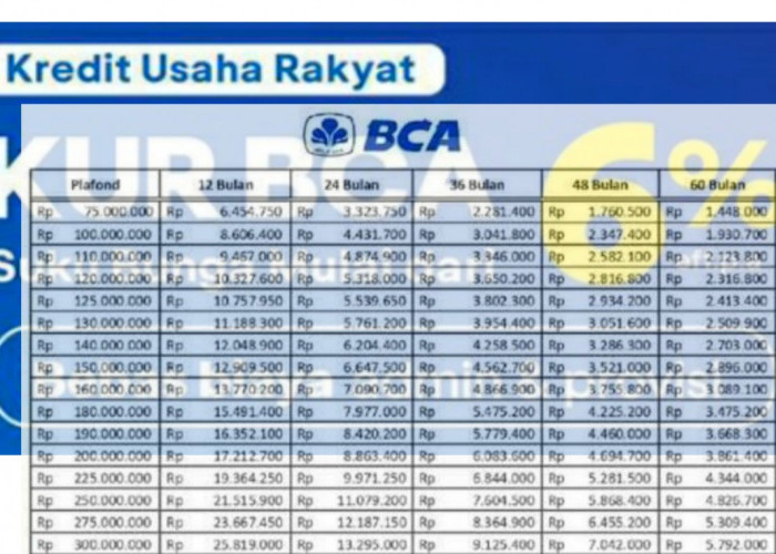 Simulasi Pinjaman Modal Rp 50 Juta-Rp 100 Juta lewat KUR BCA 2024, Cek Syarat Terbarunya