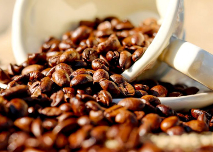 Bukan Cuma Lampung, Jawa Timur Juga Punya Kota Penghasil Kopi