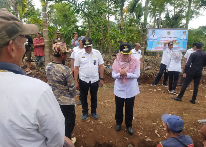 Bupati Tanggamus Tinjau Pembukaan Badan Jalan di Pulau Panggung 
