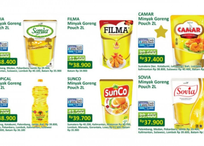 Hanya Hari Ini! Promo Belanja Murah Minyak Goreng di Alfamart, Cek Harganya