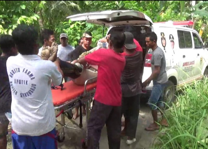 Polsek Wonosobo Identifikasi Temuan Mayat di Persawahan 