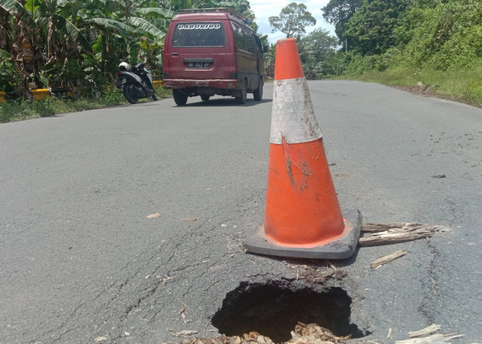 Waspada! Ada Lubang di Ruas Jalinbar Pesisir Barat