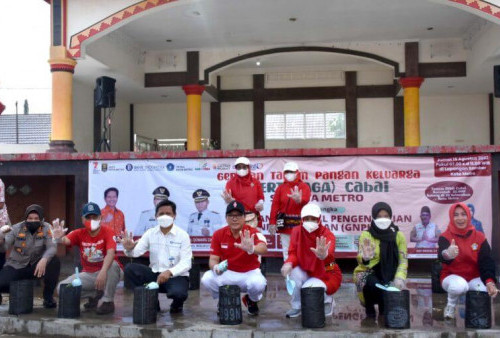 Menanam Cabai bisa Kendalikan Inflasi, Kok Bisa?