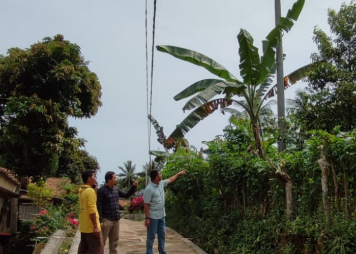 Tiang Listrik 2 Tahun Sudah Terpasang di Srengsem, Tapi Belum Ada Kabel