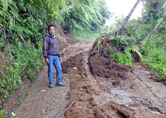 Jalan di Sukau Tertimbun Longsor, Ini Kondisi Terkini 