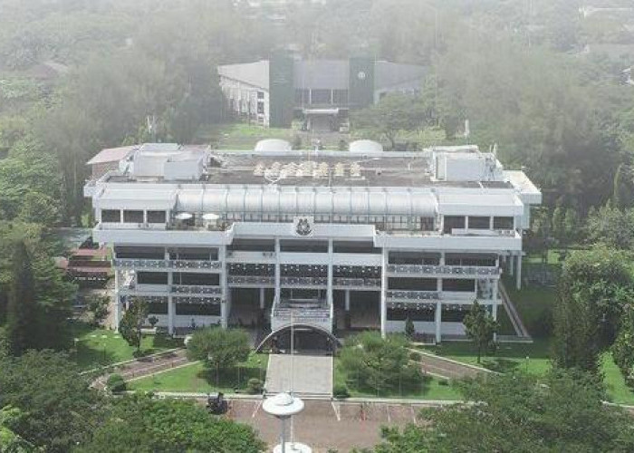 Ada yang Dari Sumatera, Ini Daftar 10 Universitas dengan Jumlah Program Studi Terbanyak di Indonesia