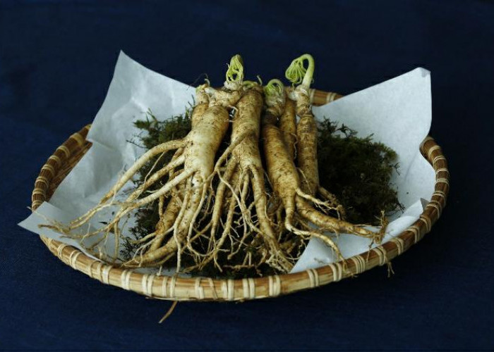 4 Types of Herbs That Are Good for Body Health
