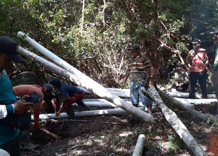 Kali Kedua, Kawanan Gajah Rusak Pipa Distribusi Air di Lampung Barat