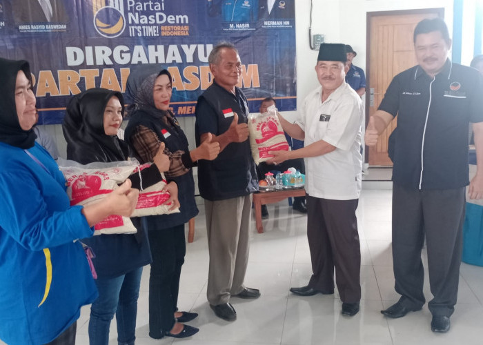 Kader NasDem Harus Jadi Mitra Kritis Pemerintah