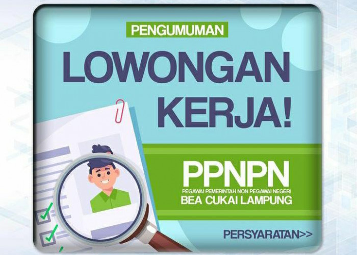 Terbaru! Lowongan Kerja Pegawai Pemerintah Non Pegawai Negeri (PNPN) Bea Cukai Januari 2023