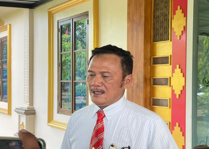 Dua Ahli Hukum Sebut Perkara Qomaru Dapat Diselesaikan terlebih Dahulu secara Administratif