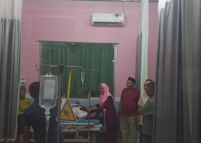 Kasus DBD di Mesuji Telan Korban Jiwa, Satu Anak Meninggal Dunia