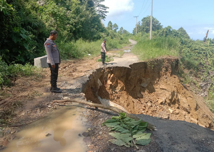 Waduh! Jalan Penghubung Antar Pekon di Kecamatan Kelumbayan Longsor