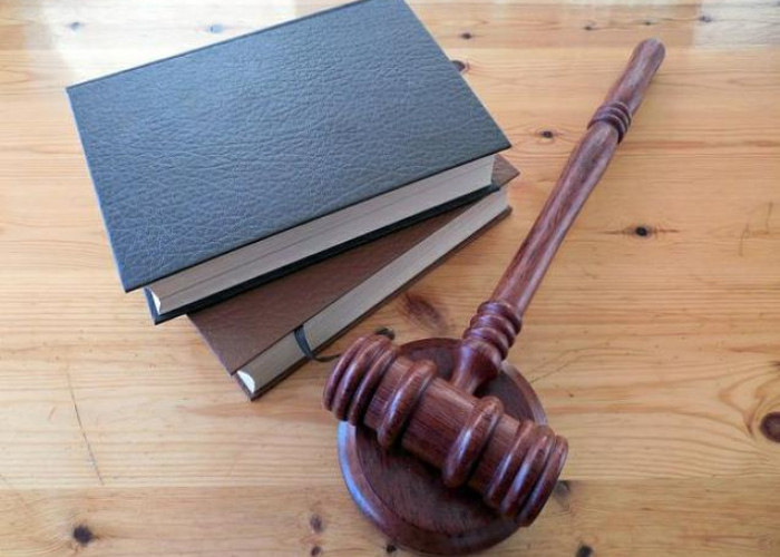 9 Prospek Kerja Program Studi Ilmu Hukum, Mulai dari Pengacara Hingga Konsultan