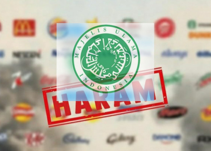 4 Poin Penting Dalam Fatwa MUI yang Haramkan Beli Produk Pro Israel