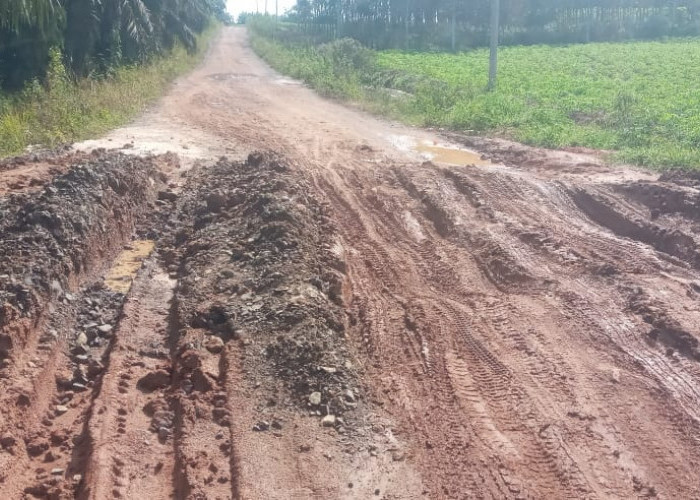 Proyek 'Siluman' Kembali Marak di Way Kanan