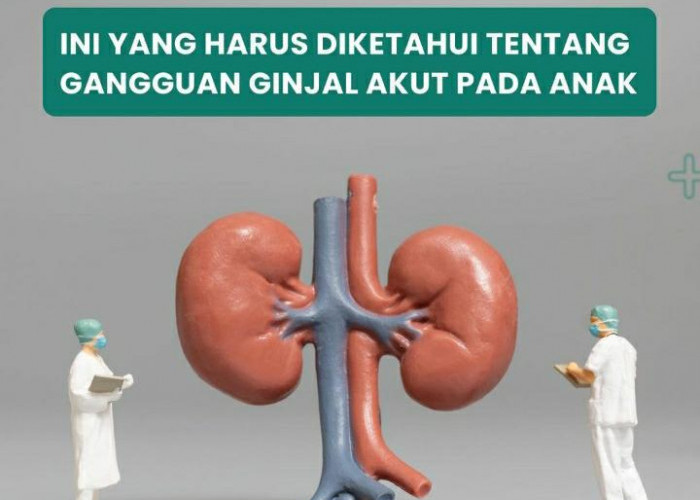 Kasus Ginjal Akut, Tiga Kementerian Koordinasi Tangani Peredaran Obat 
