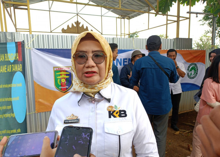 Catat, Disnakkeswan Lampung Tegaskan Vaksin LSD Tidak Berbayar