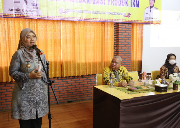 Wagub Chusnunia Ikuti Sosialisasi Sertifikasi dan Standarisasi Produk IKM Agar Miliki Nilai Tambah