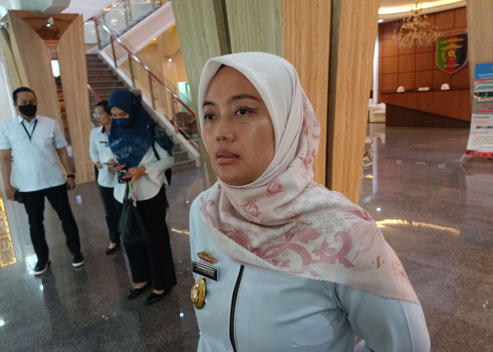 Pemprov Lampung dan KPAI Sepakat Kawal Kasus Kekerasan Anak di Lampung