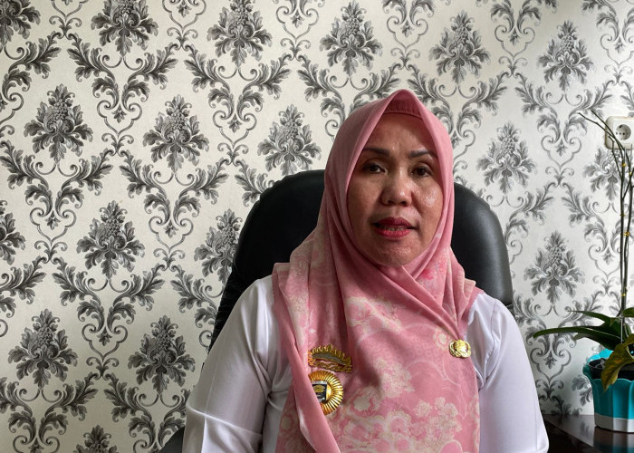 DLH Anggarkan Ratusan Juta untuk Program Pengelolaan dan Penanganan Sampah
