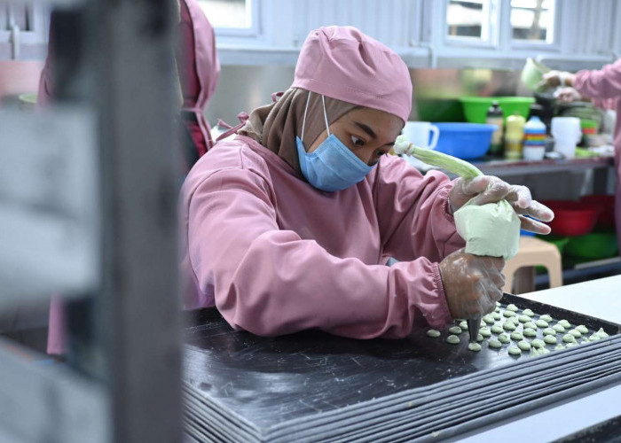 Berkat Program BRIncubator, UMKM Asal Bandung ‘Maira Cookies’ Sukses Jualan Kue Macaron