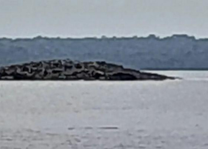 Muncul Pulau Usai Gempa Mengguncang Maluku, Ini Penjelasan BMKG
