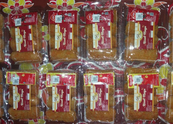 Dapur Makwo 2 Tawarkan Aneka Jenis Pempek dan Risol Mayo, Rasanya Maknyus
