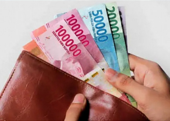 Catat Syaratnya! Ini Katagori Honorer yang Dapat THR dan Gaji Ke-13 Tahun 2023 