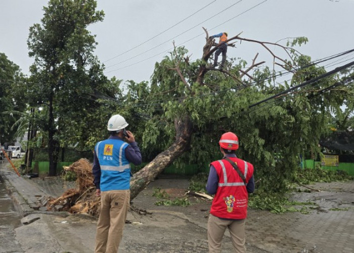 PLN Cepat Tanggap Atasi Dampak Cuaca Ekstrem, Pulihkan Listrik untuk 29 Ribu Pelanggan dalam 3 Jam