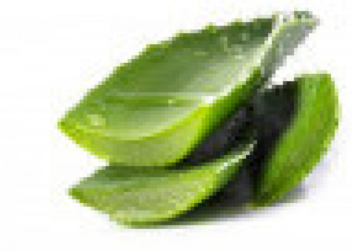 The Benefits of Aloevera are Rarely Known