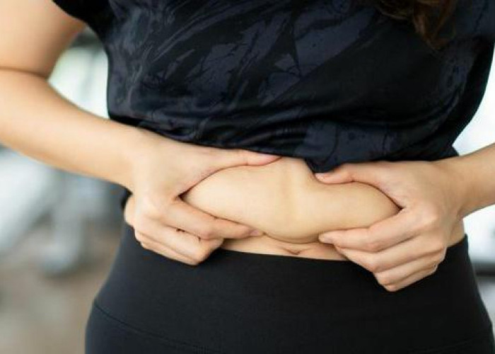Rendah Kalori, 4 Makanan Sehat untuk Mengecilkan Perut Buncit Wanita