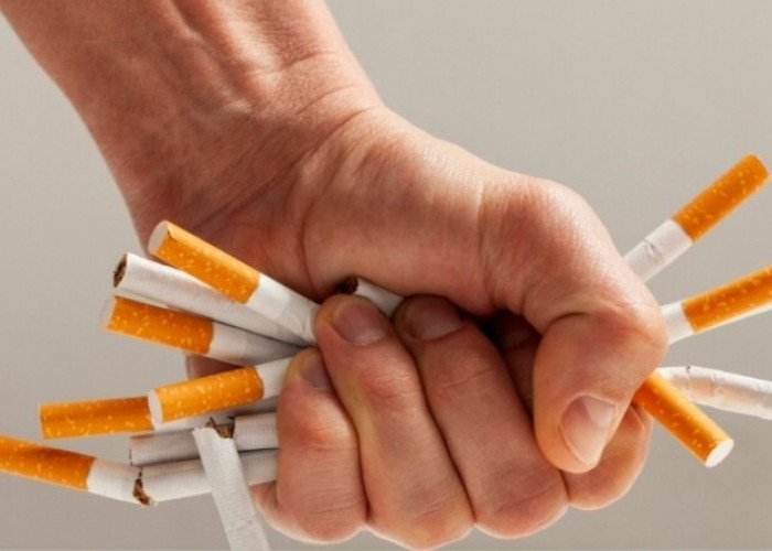 Anda Perokok Berat? Puntung Rokok Jangan Dibuang Dulu, Bisa Bermanfaat Loh, Begini Caranya