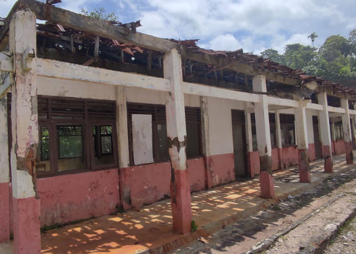 Cerita Dari SDN 109 Krui, Siswa Belajar Tergantung Cuaca  