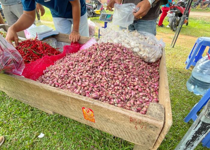 Pemkot Metro Hadirkan Harga Murah di Gelaran Pasar Tani Agro Ceria