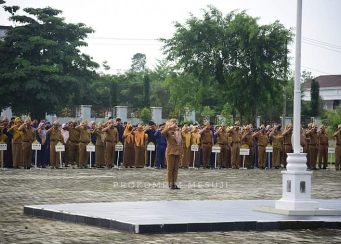 Soal Usulan NIP P3K Begini Kata BKPSDM Mesuji