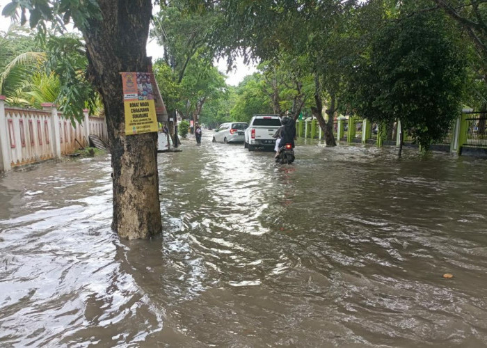 Hujan Lebat Disertai Angin, Begini Kondisi Jalanan Bandar Lampung 