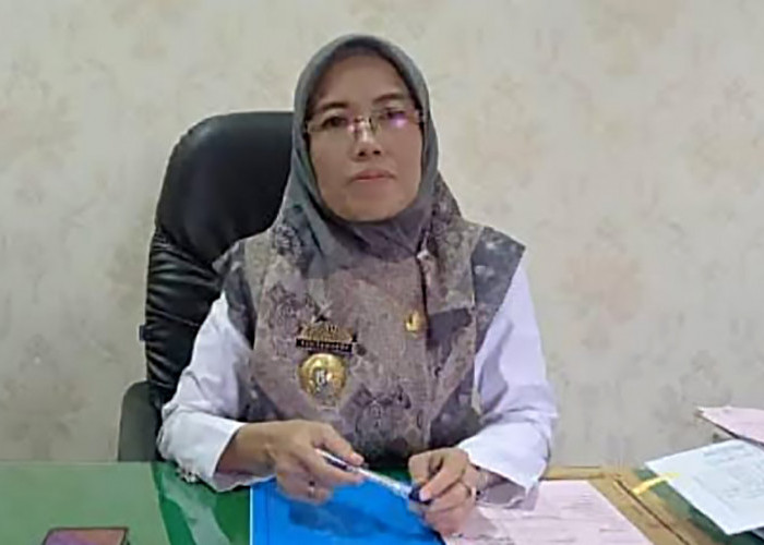 Catat! Pengumuman Hasil Tes PPPK Pringsewu 2023 Formasi Guru akan Dilakukan Tanggal Ini 