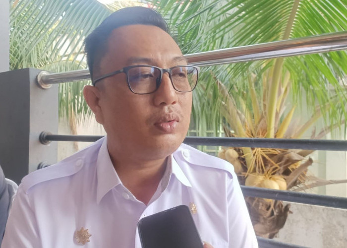 Pengembangan Budaya Bakal Jadi Prioritas Pembangunan di Metro Selatan