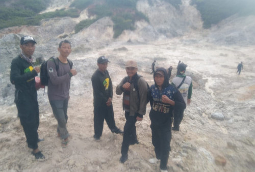 Belasan Ekor Gajah Liar tak Ingin Pindah dari Destinasi Wisata