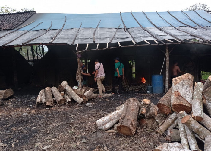 Marak Pabrik Tobong Arang, DLH Mesuji Segera Buat Surat Edaran