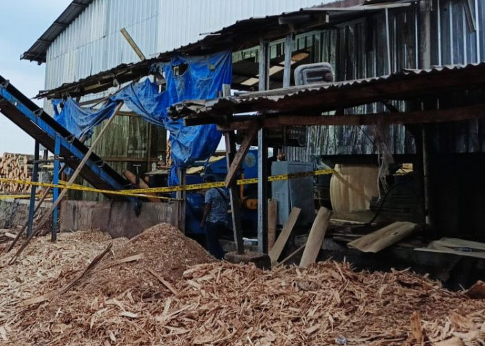 Innalillahi, Pekerja di Lampung Tengah Tewas Terjatuh Ke Dalam Mesin Penghancur Kayu